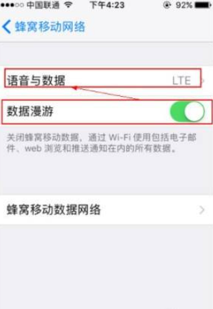 苹果ios14如何设置APN第3步