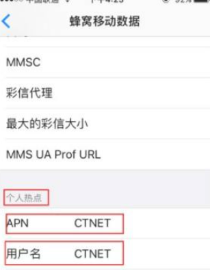 苹果ios14如何设置APN第6步