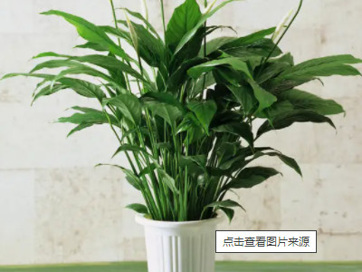 开空调暖风太干燥怎么办第3步