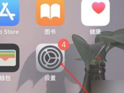 苹果前置摄像头黑屏不能照相第1步
