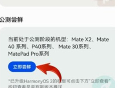 华为mate20怎么升级鸿蒙系统第3步