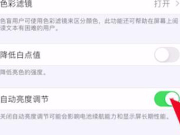 苹果自动调节亮度第4步