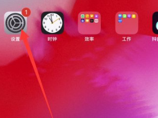 ipad屏幕出现条纹怎么解决第1步