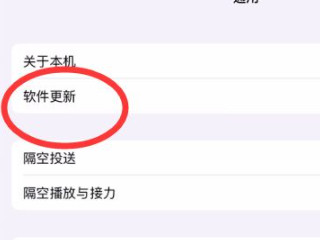 ipad屏幕出现条纹怎么解决第3步