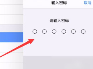 ipad屏幕出现条纹怎么解决第5步