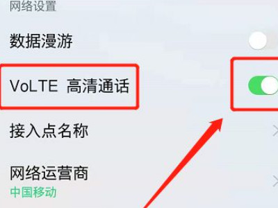 oppo手机lte怎么改4g第4步