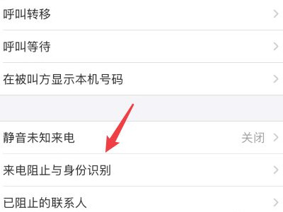 苹果手机来电预警在哪里开启第2步