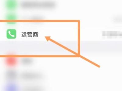 苹果12怎么设置双电信第2步