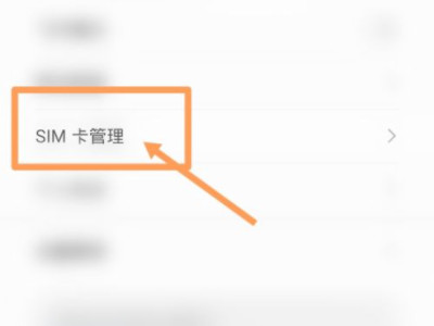 苹果12怎么设置双电信第3步