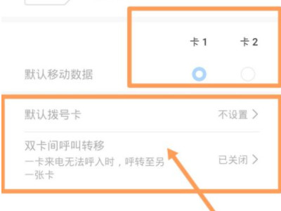 苹果12怎么设置双电信第4步