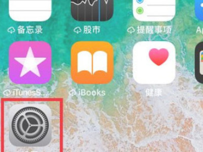 苹果手机为什么不显示5g网络第1步