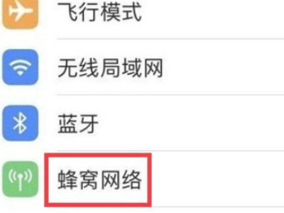 苹果手机为什么不显示5g网络第2步