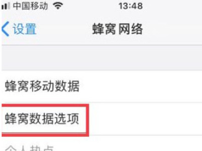 苹果手机为什么不显示5g网络第3步