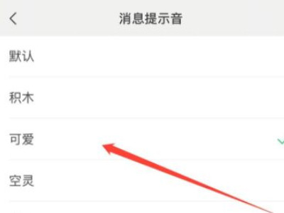 vivo手机怎么设置微信来电铃声第4步