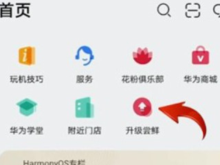 mate30pro怎么升级鸿蒙系统第2步