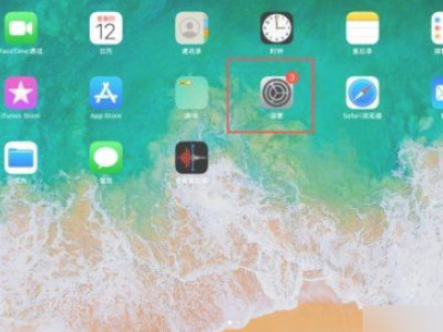 ipad频繁闪退第1步