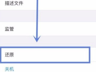 苹果手机数据流量打开不能上网第3步