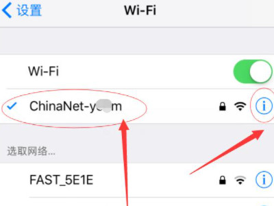 苹果id验证失败,连接到服务器时出现问题第3步