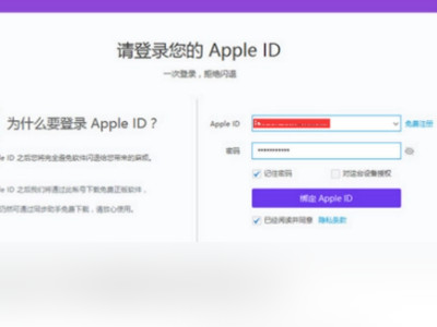 苹果id验证失败,连接到服务器时出现问题第4步