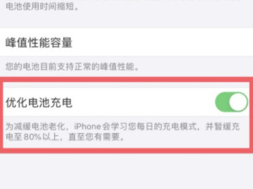 苹果手机冲到80电之后一直充不上去 是不是要换电池了第5步