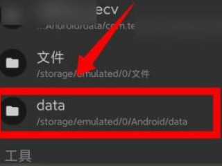 小米10怎么解除data访问限制第4步