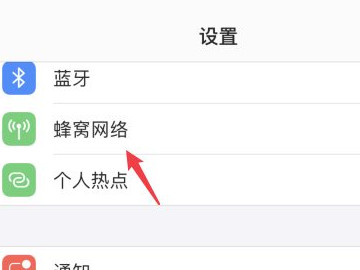 苹果怎么切换主副卡流量第2步