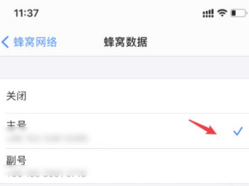 苹果怎么切换主副卡流量第4步