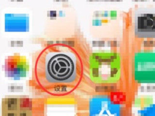 苹果主叫号码未显示怎么解决第1步
