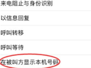 苹果主叫号码未显示怎么解决第3步