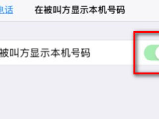 苹果主叫号码未显示怎么解决第4步