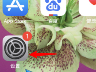 苹果11屏幕左上角有弧形阴影第1步
