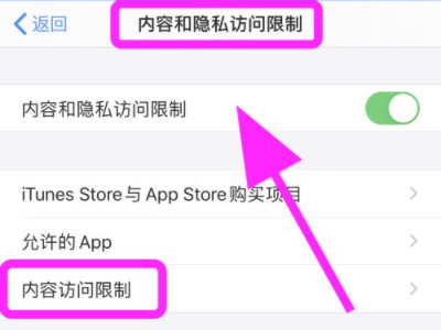 iphone访问限制无法退出登录第4步