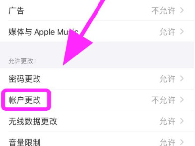 iphone访问限制无法退出登录第5步