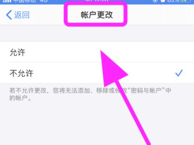 iphone访问限制无法退出登录第6步