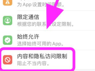 iphone由于访问限制无法退出登录第3步