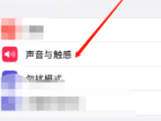 苹果按键音开了没声音第2步
