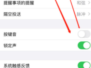 苹果按键没有声音了怎么回事第3步
