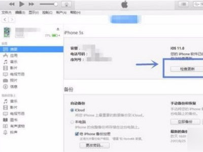 ios怎么退回上一个版本第3步