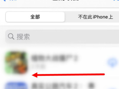 手机上怎么清除90天苹果充值记录第4步
