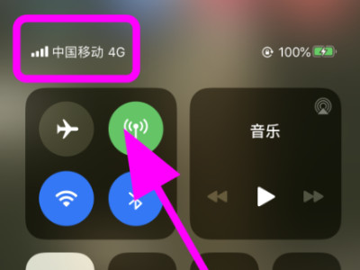 iphone7无服务蜂窝网络错误第4步