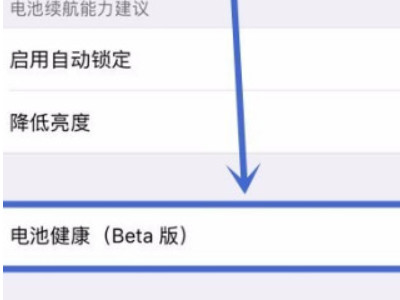 苹果发热降频能关闭吗第3步