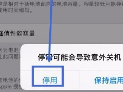 苹果发热降频能关闭吗第5步