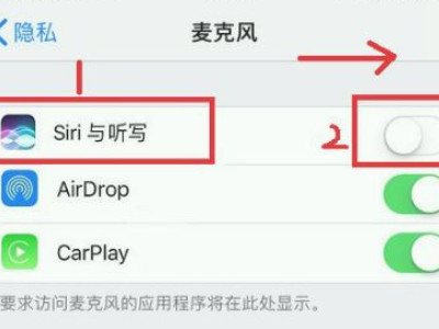 麦克风启用不成功苹果手机第4步