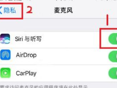麦克风启用不成功苹果手机第5步