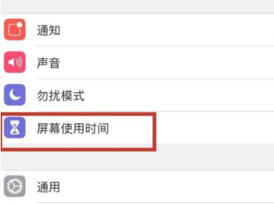 苹果访问限制第2步