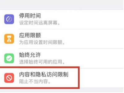 苹果访问限制第3步