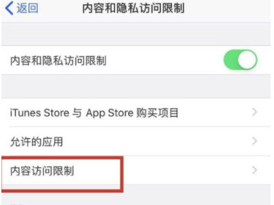 苹果访问限制第5步