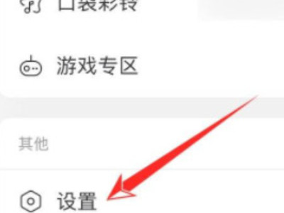 为什么iphone没有桌面歌词第3步