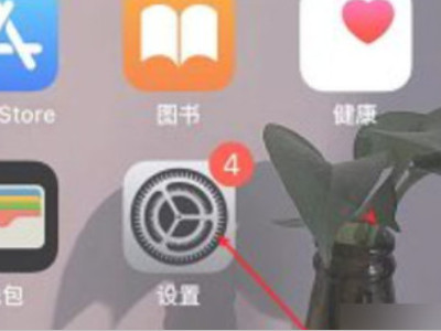 苹果后摄像头黑屏不能拍照怎么回事第1步