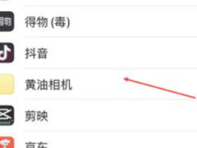 苹果后摄像头黑屏不能拍照怎么回事第4步